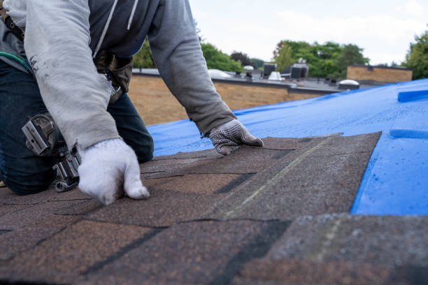 Best Roof Maintenance and Cleaning  in Girard, OH